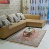 6 by 4 silk coffee table carpet