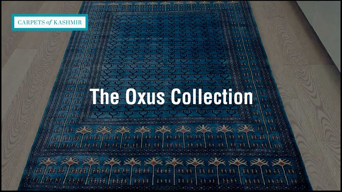 The Oxus Collection of handmade hand-knotted rugs